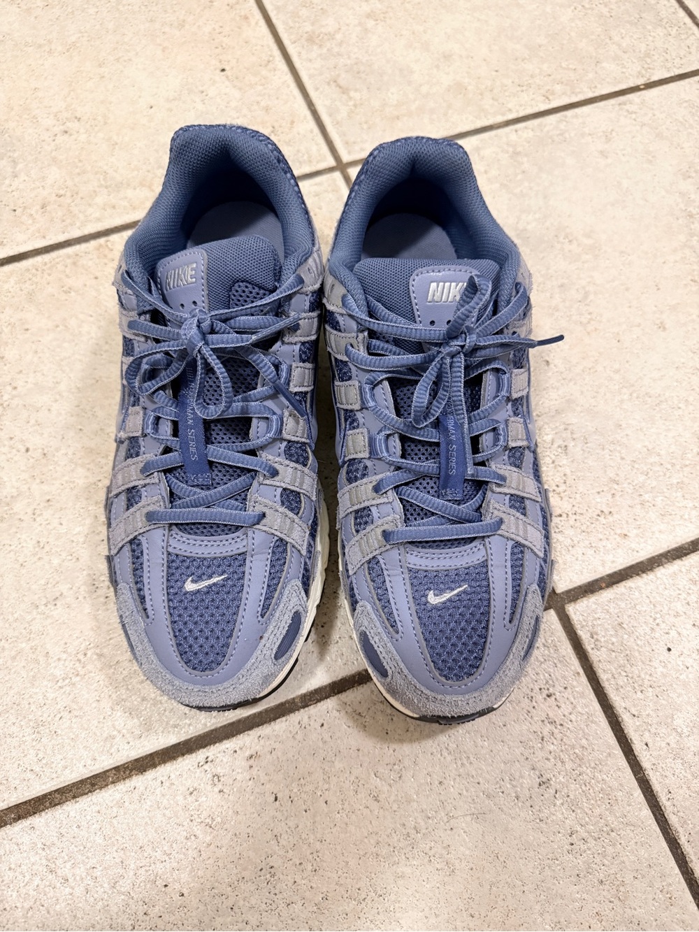 Nike P6000 Blue Sneaker